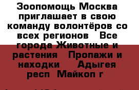 Зоопомощь.Москва приглашает в свою команду волонтёров со всех регионов - Все города Животные и растения » Пропажи и находки   . Адыгея респ.,Майкоп г.